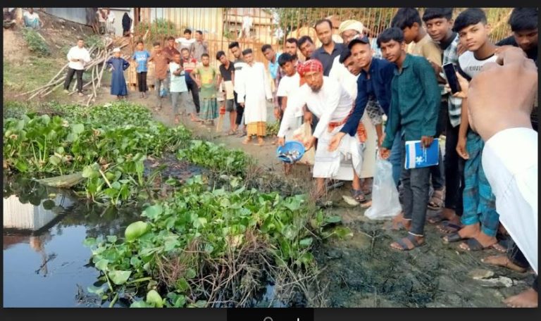 ডাকাতিয়া নদীতে মাছের পোনা অবমুক্ত