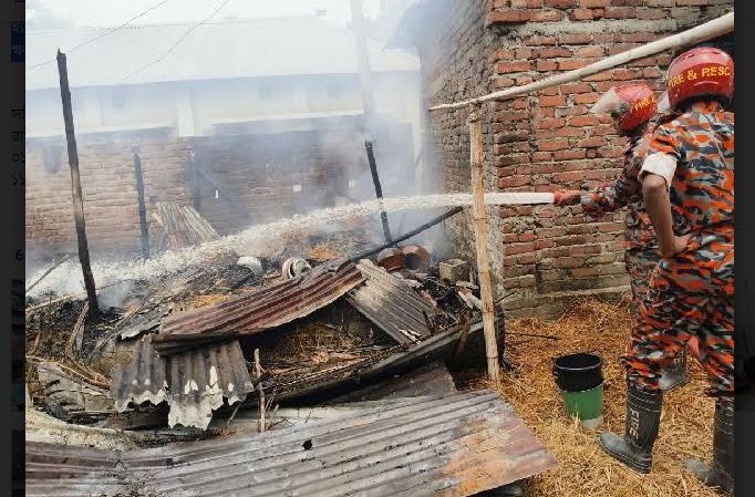 রাণীশংকৈলে আগুনে গবাদিপশুসহ বসতঘর পুড়ে ছাই