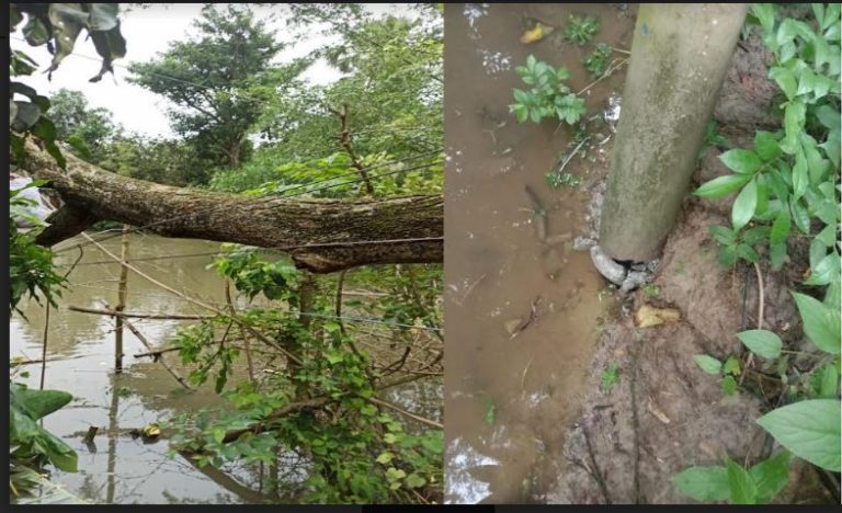 ব্রাহ্মণপাড়ায় হঠাৎ ঝড়ে পল্লী বিদ্যুতের ব্যাপক ক্ষয়ক্ষতি, নিরবিচ্ছিন্ন বিদ্যুত সরবরাহে কাজ করছে লাইনম্যানরা