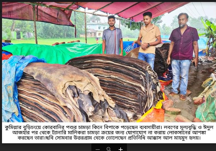 বুড়িচংয়ে কোরবানির পশুর চামড়া কিনে বিপাকে প্রান্তিক ব্যবসায়ীরা;লোকসানের আশঙ্কা!