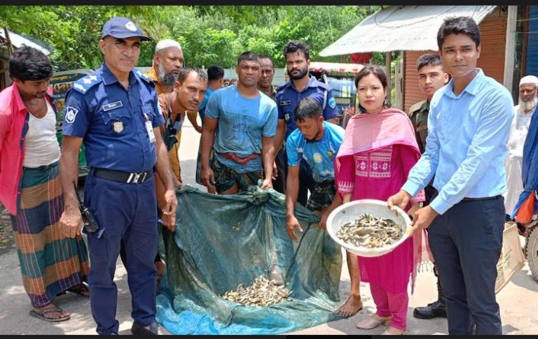 মনোহরগঞ্জে বিভিন্ন খালে বারাবাঁধ অপসারণ লক্ষাধীক মাছের পোনা অবমুক্ত