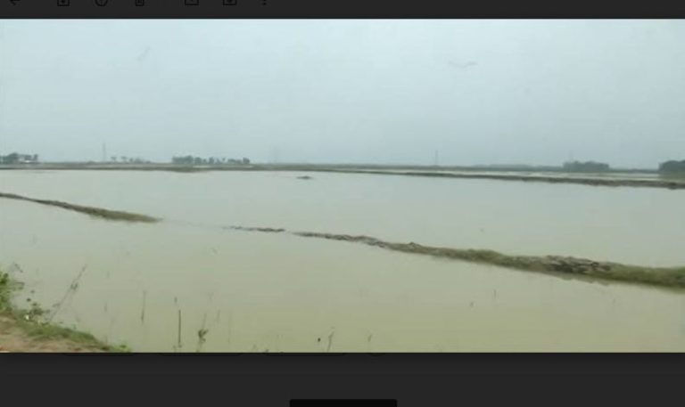 গ্রামবাসীদের প্রতিরোধে খলিসাখালি মাছের ঘের দখলকারী সন্ত্রাসীদের পলায়ন