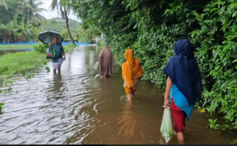 নোয়াখালীতে বন্যা পরিস্থিতি অবনতি, খাদ্য সংকট- সাপ আতঙ্কে নাকাল