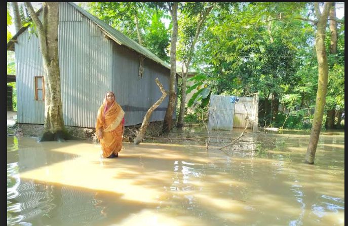 দেবীদ্বারে বন্যা পানিবন্দি এক বিধবার ঘরে খাবার নেই ৭ দিন বড় কষ্টে আছেন তিনি