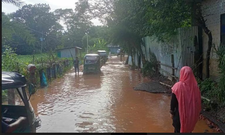 ব্রাহ্মণপাড়া থানা ও উপজেলা স্বাস্থ্য কমপ্লেক্সে যাওয়ার একমাত্র সড়কটির বেহাল দশা