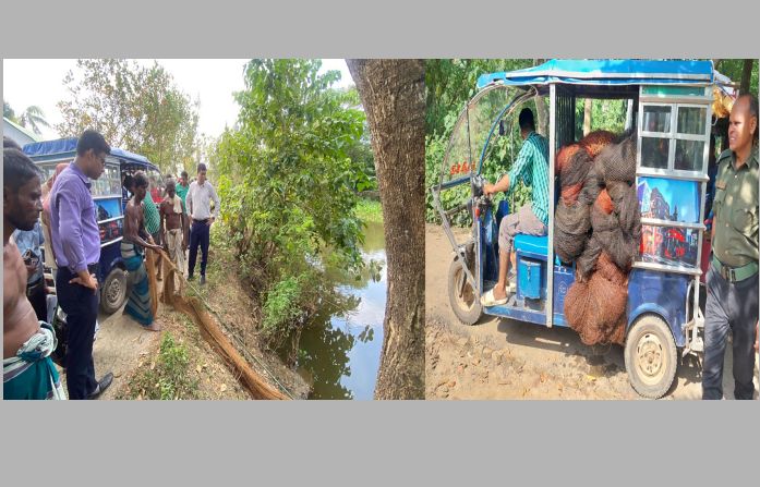 ব্রাহ্মণপাড়ায় অবৈধ ভৈরব জালের বিরুদ্ধে ভ্রাম্যমান আদালতে অভিযান, ৫ হাজার ফুট জাল জব্দ ও বিনষ্ট