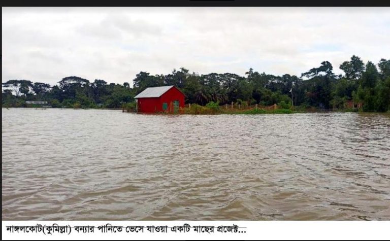 নাঙ্গলকোটে ভয়াবহ বন্যায় মৎস্য খাতে ক্ষতি হয়েছে অর্ধশত কোটি টাকা