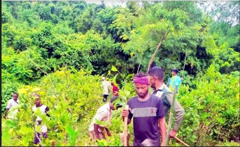 সাবেক কৃষিমন্ত্রী আব্দুস শহীদের দখলে থাকা লাউয়াছড়া জাতীয় উদ্যানের পাঁচ একরের বেশি জায়গা উদ্ধার