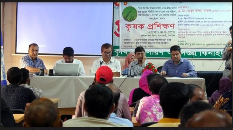 ঝিনাইদহে আমন ধান ও সরিষা চাষাবাদ কলাকৌশল শীর্ষক কৃষক প্রশিক্ষন