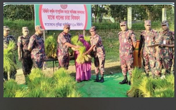 বন্যায় ক্ষতিগ্রস্ত কৃষকদের মাঝে বন্যায় ক্ষতিগ্রস্ত কৃষকদের মাঝে ধানের চারা বিতরণ ১০ বিজিবির