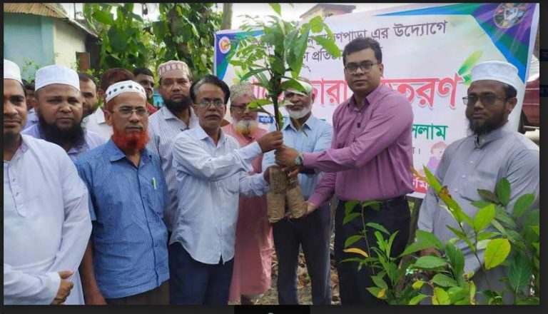 ব্রাহ্মণপাড়ায়  প্রশাসনের উদ্যোগে ১৭২টি শিক্ষা প্রতিষ্ঠানে গাছের চারা বিতরণ