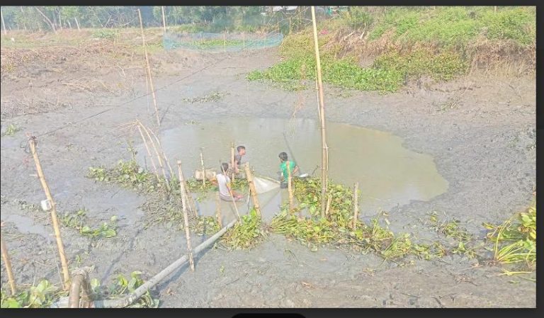 ব্রাহ্মণপাড়ায় খাল-বিলে পানি সেচে দেশি মাছ ধরার ধুম