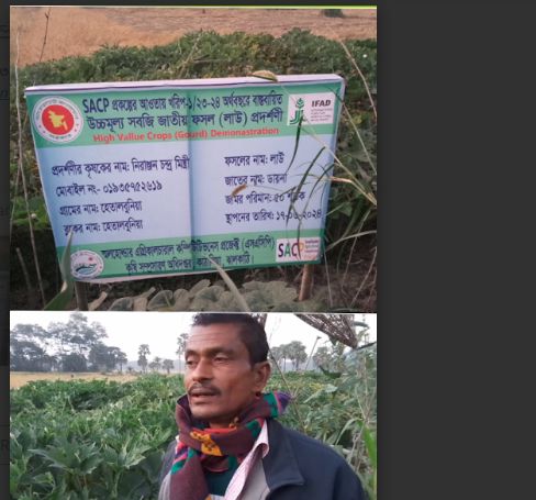 কাঁঠালিয়া বর্তমান কৃষি কমর্কর্তা পরামর্শে রাস্তার পাশে লাউ চাষে লাভবান কৃষক নিরঞ্জন চঁন্দ্র মিস্ত্রি