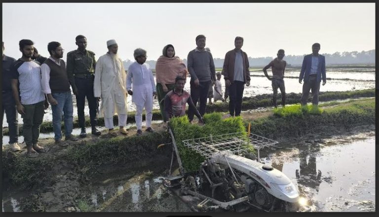 দেবীদ্বারে ১৫০ হেক্টর জমিতে আবাদ হচ্ছে ব্রি ধান-১০২ যান্ত্রিকীকরণের সুফলে ধানচাষে কমবে সময় ও খরচ