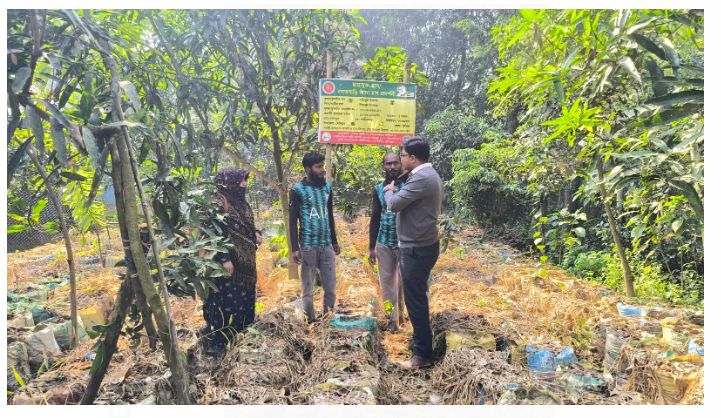 দেবীদ্বারে প্রথমবারের মতো বস্তায় বাণিজ্যিকভাবে আদা চাষে সফল কৃষক