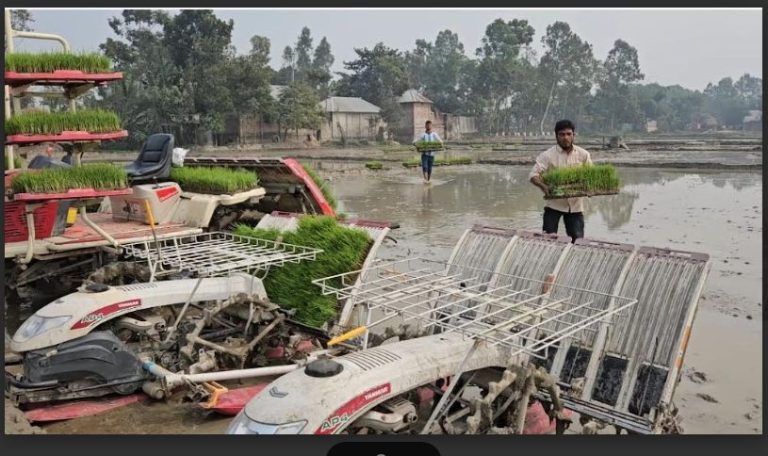 রানীশংকৈলে রাইস ট্রান্সপ্লান্টার যন্ত্রের মাধ্যমে চারা রোপণ