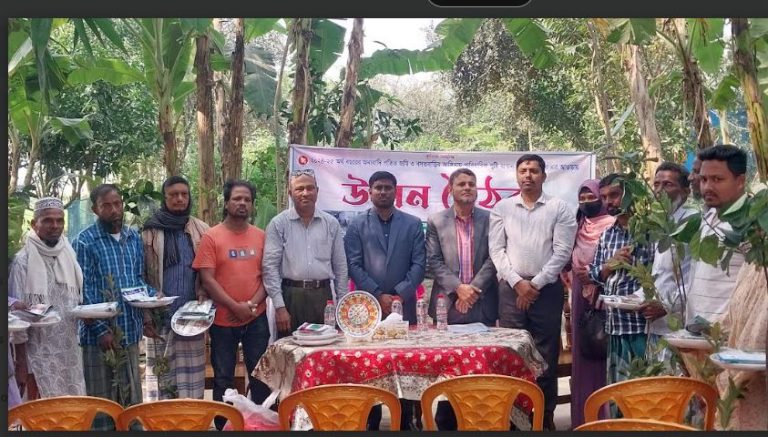 মুরাদনগরে পুষ্টি বাগান স্থাপন প্রকল্পের উঠান বৈঠক, গাছের চারা ও বীজ বিতরণ