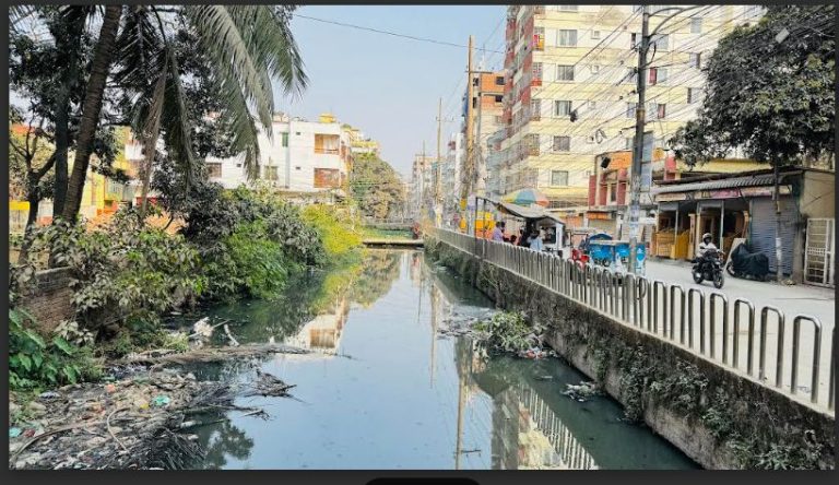 কুমিল্লার সিটির খালের পানিতেই প্রাণী ও মৎস্যকূল বিলীন, কৃষিজমি নষ্ট