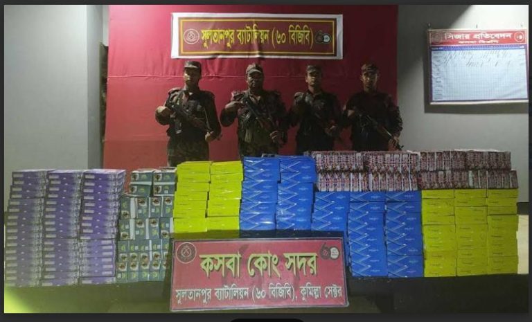 বিজিবি কর্তৃক বিপুল পরিমান ভারতীয় অবৈধ মালামাল জব্দ