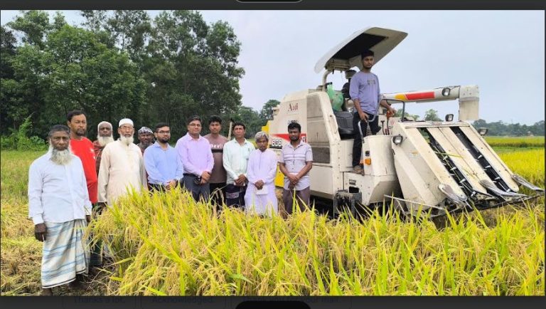 বাংলাদেশের ব্রি ধান- ১০২ এর সর্ববৃহৎ মাঠ দেবীদ্বারে যান্ত্রিকীকরণের সুফলে লাভবান কৃষক