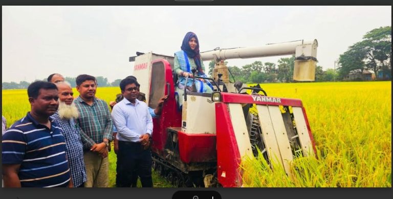 ইউএনও নিজে কম্বাইন হারভেস্টারে কর্তন করলেন প্রদর্শনীর ধান