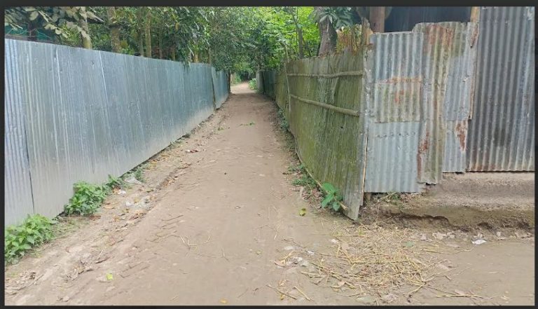 দেবিদ্বারে  বেগমাবাদের  অভিনাস মাষ্টারের বাড়ি হইতে হোসেনপুর হয়ে চন্দন নগর রাস্তার মেরামত ও দখলমুক্ত করতে এলাকা বাসী দাবি
