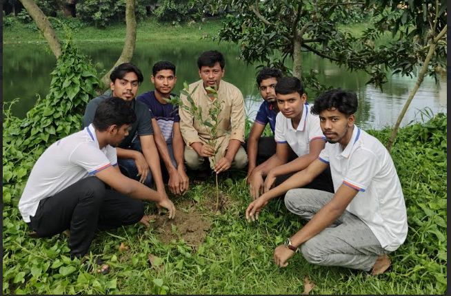 কুমিল্লায় বিশ্ব পরিবেশ দিবসে লাল সবুজের বৃক্ষরোপণ