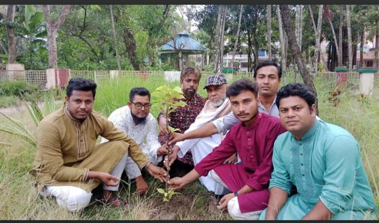 ব্রাহ্মণপাড়া জাতীয় নাগরিক পার্টির এনসিপির উদ্যোগে বৃক্ষরোপন কর্মসূচি